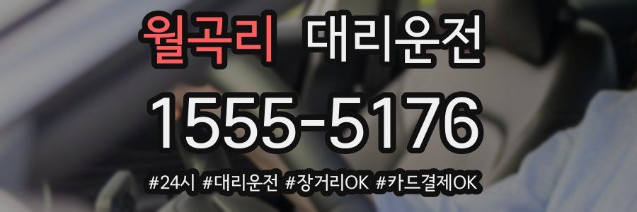 월곡리 대리운전