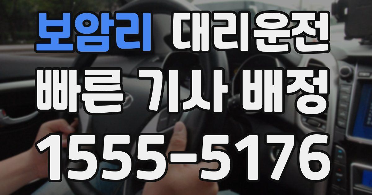 일일대리기사