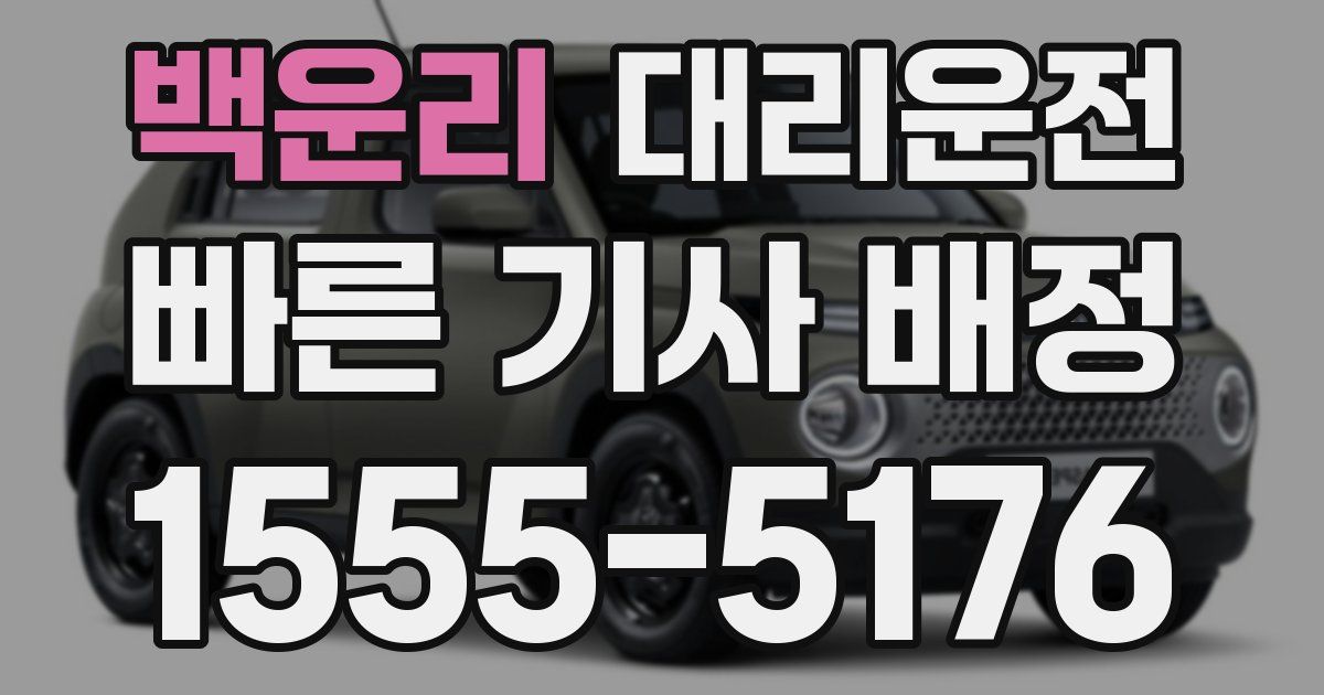 일일대리기사