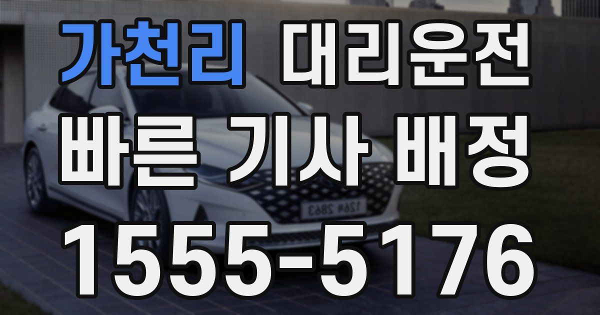일일대리기사