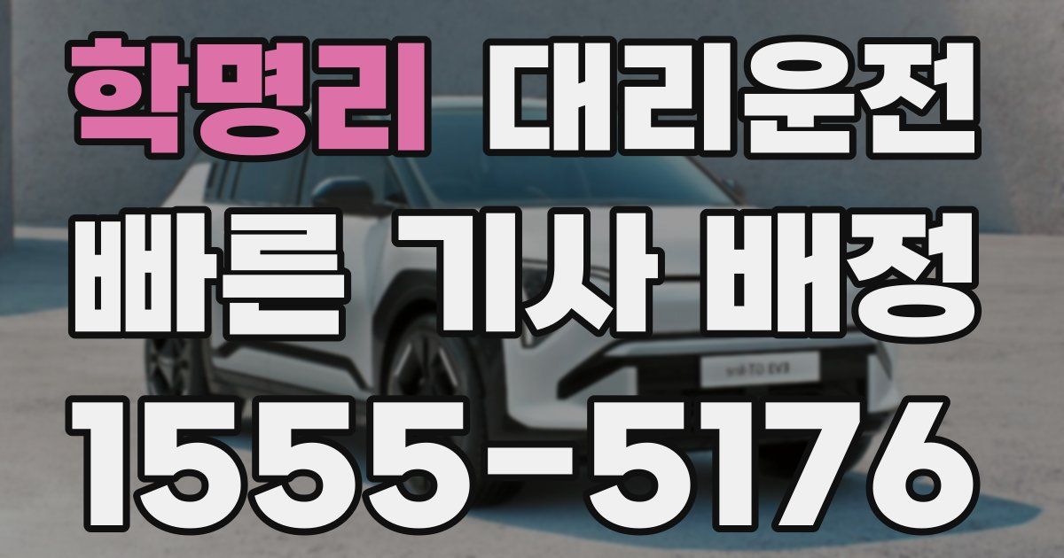 일일대리기사