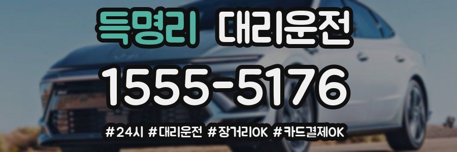 득명리 대리운전