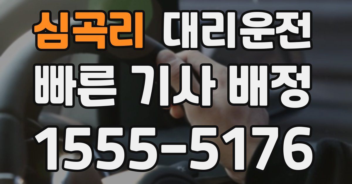 일일대리기사