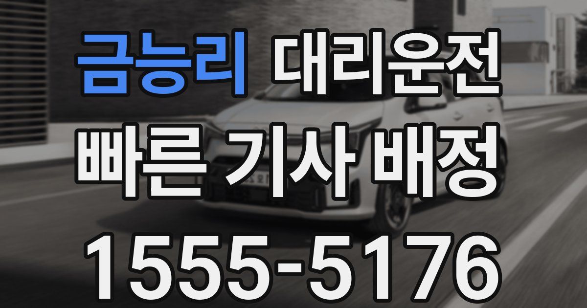 일일대리기사