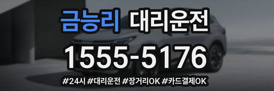 금능리 대리운전