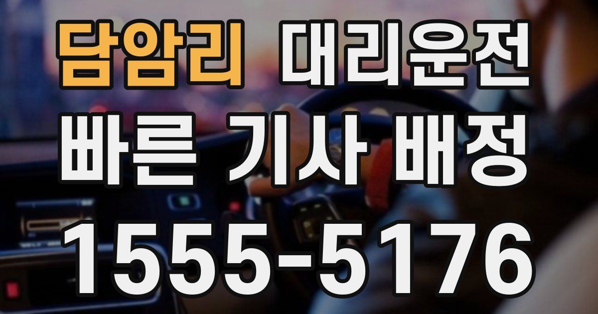 일일대리기사