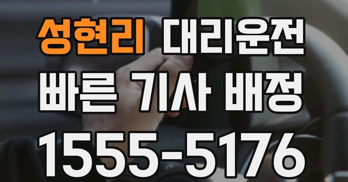 일일대리기사