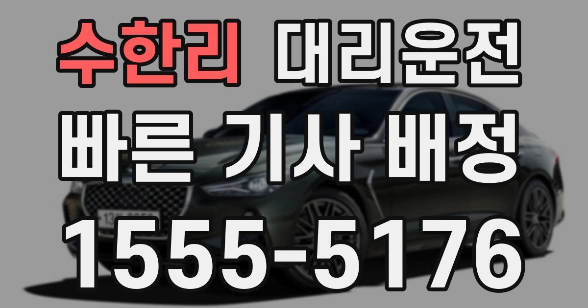 일일대리기사