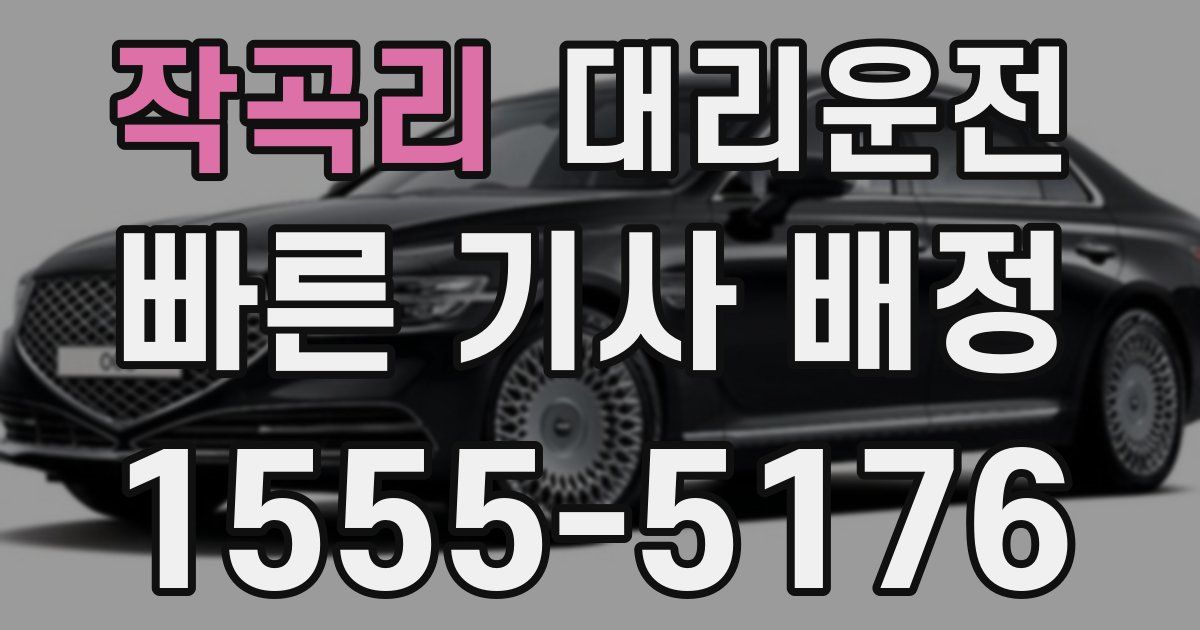 일일대리기사