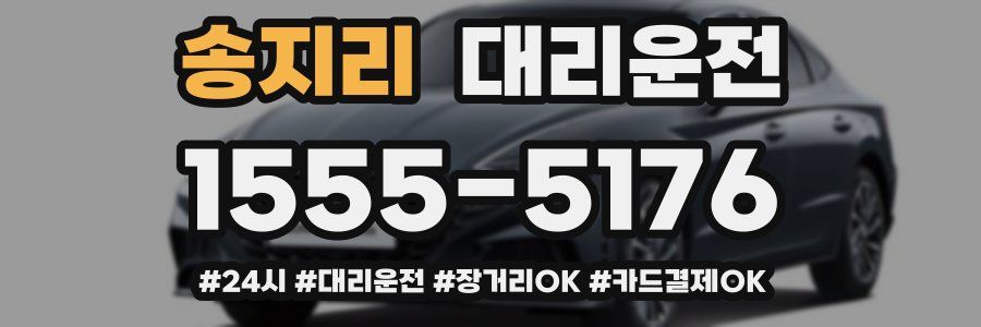 송지리 대리운전