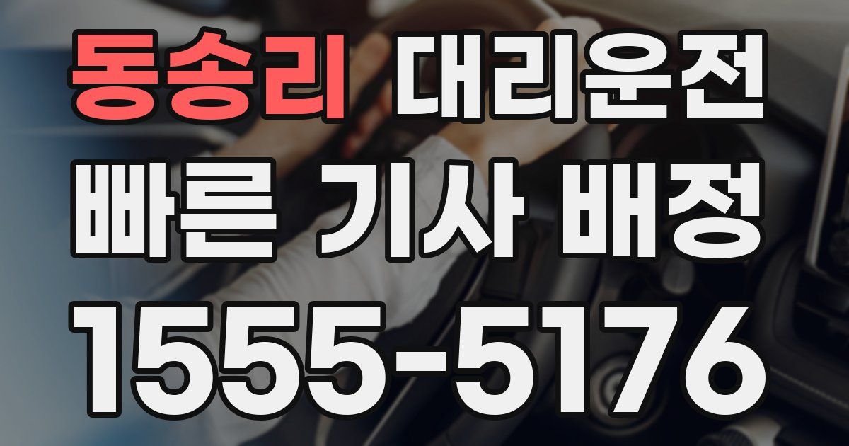 일일대리기사