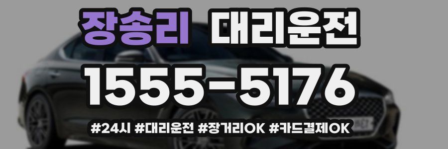 장송리 대리운전