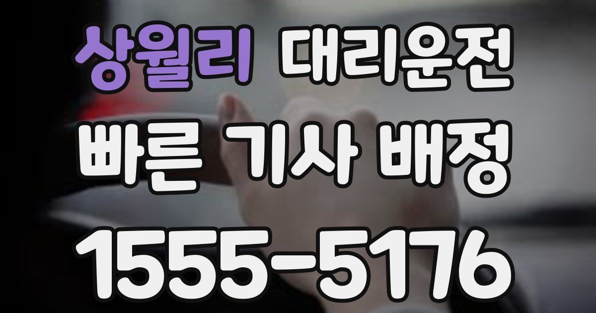 일일대리기사
