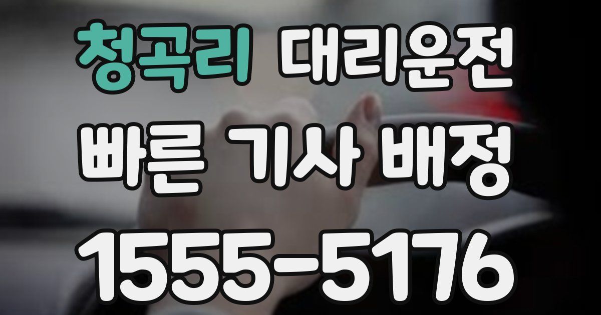 일일대리기사