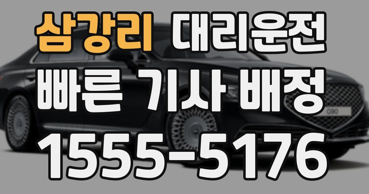 일일대리기사
