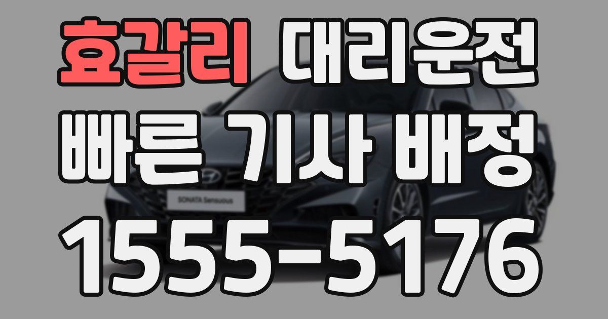 일일대리기사