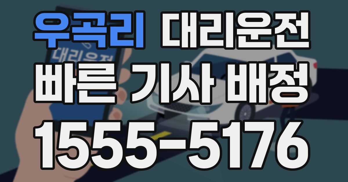 일일대리기사