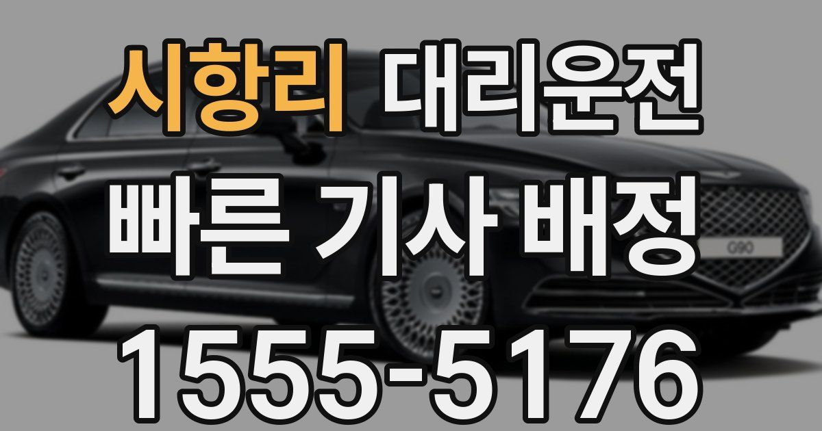 일일대리기사