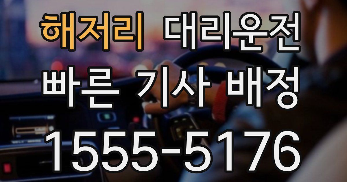 일일대리기사