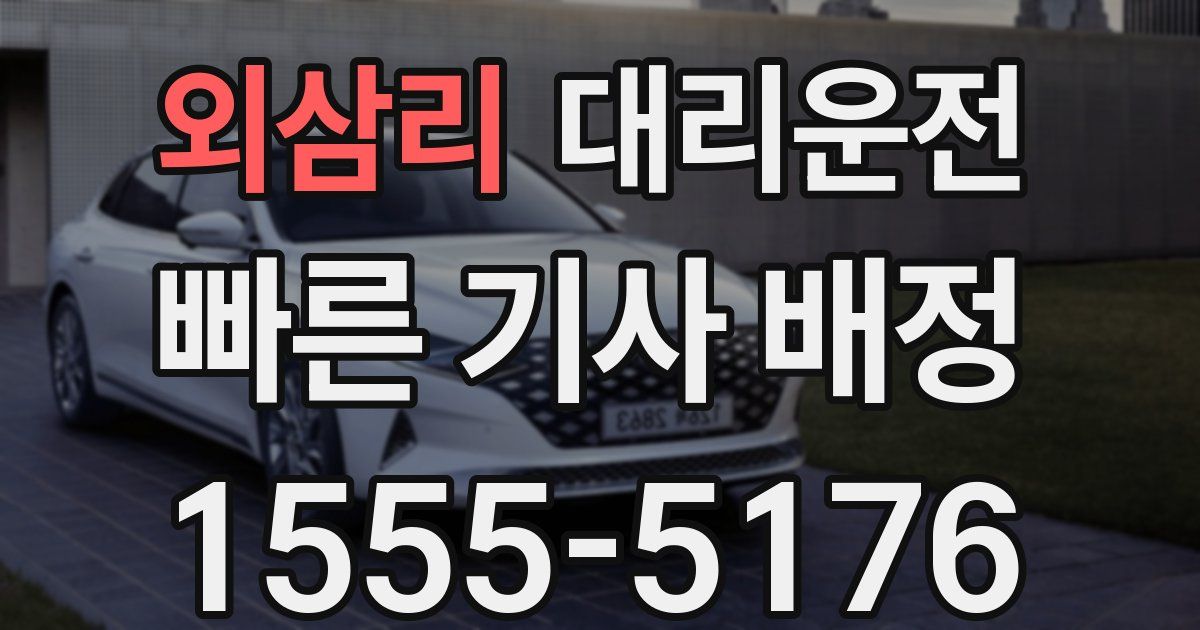 일일대리기사