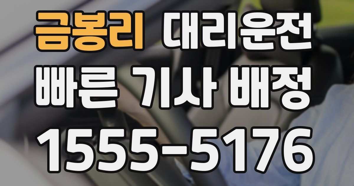 일일대리기사