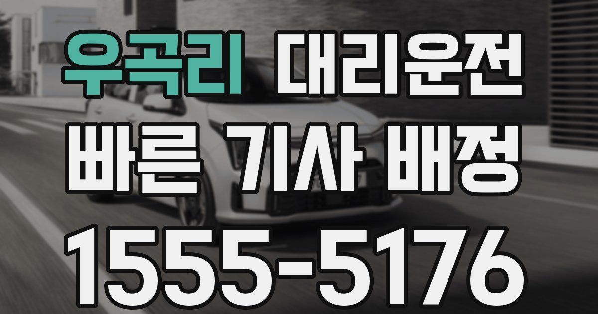 일일대리기사