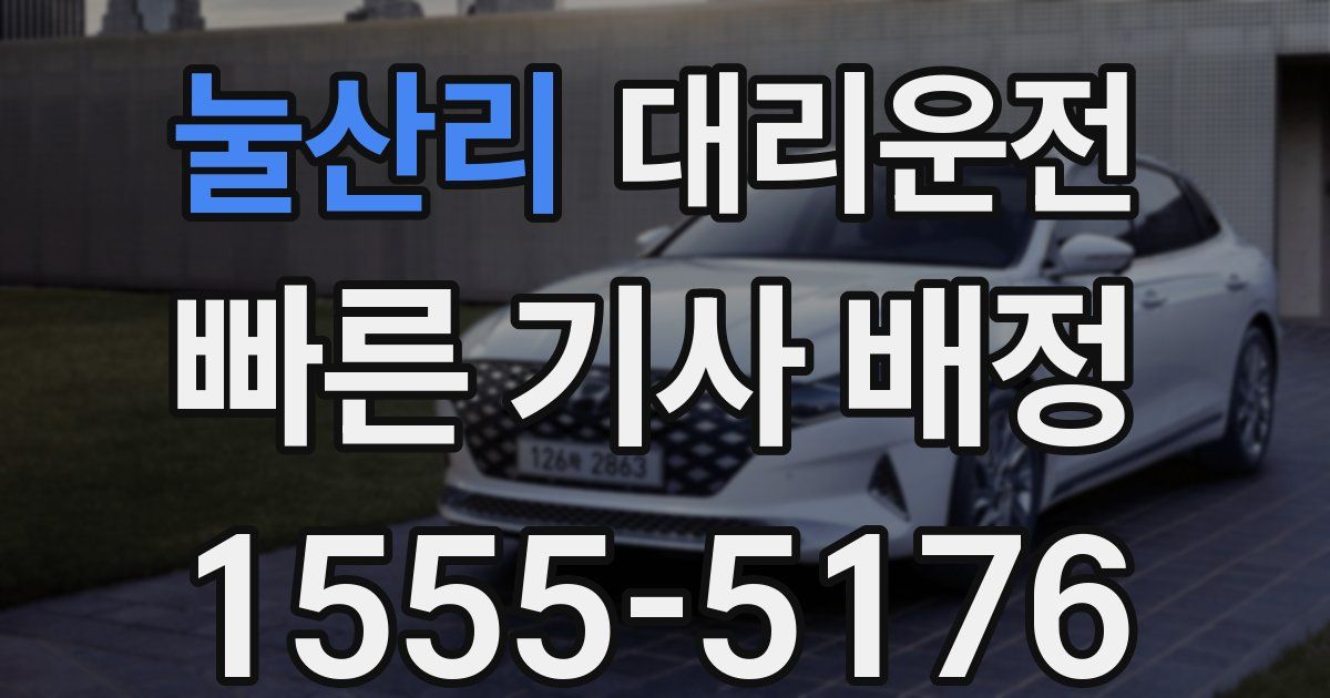 일일대리기사