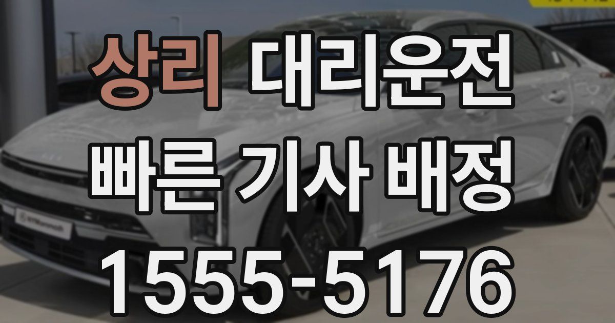 일일대리기사