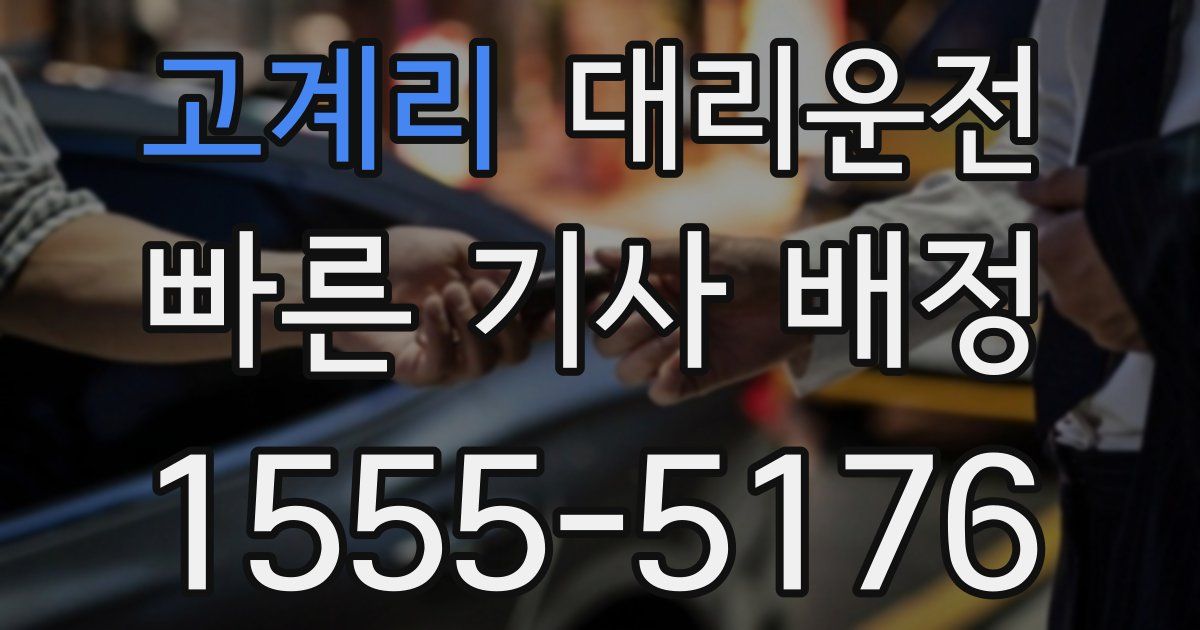 일일대리기사