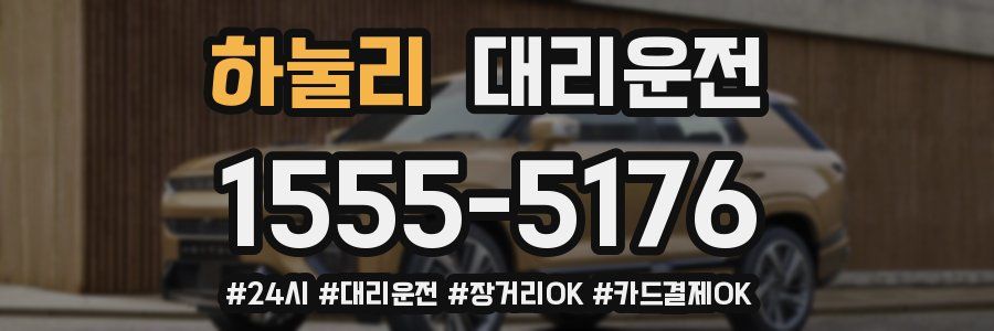 하눌리 대리운전