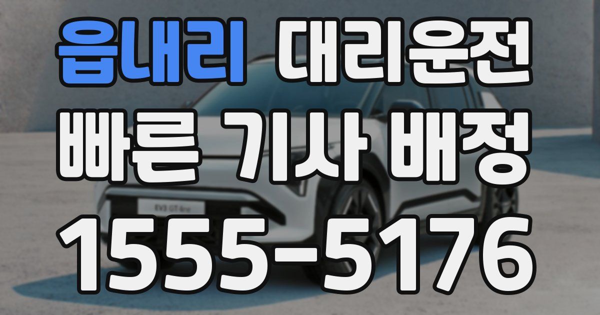 일일대리기사