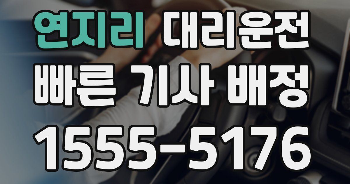 일일대리기사
