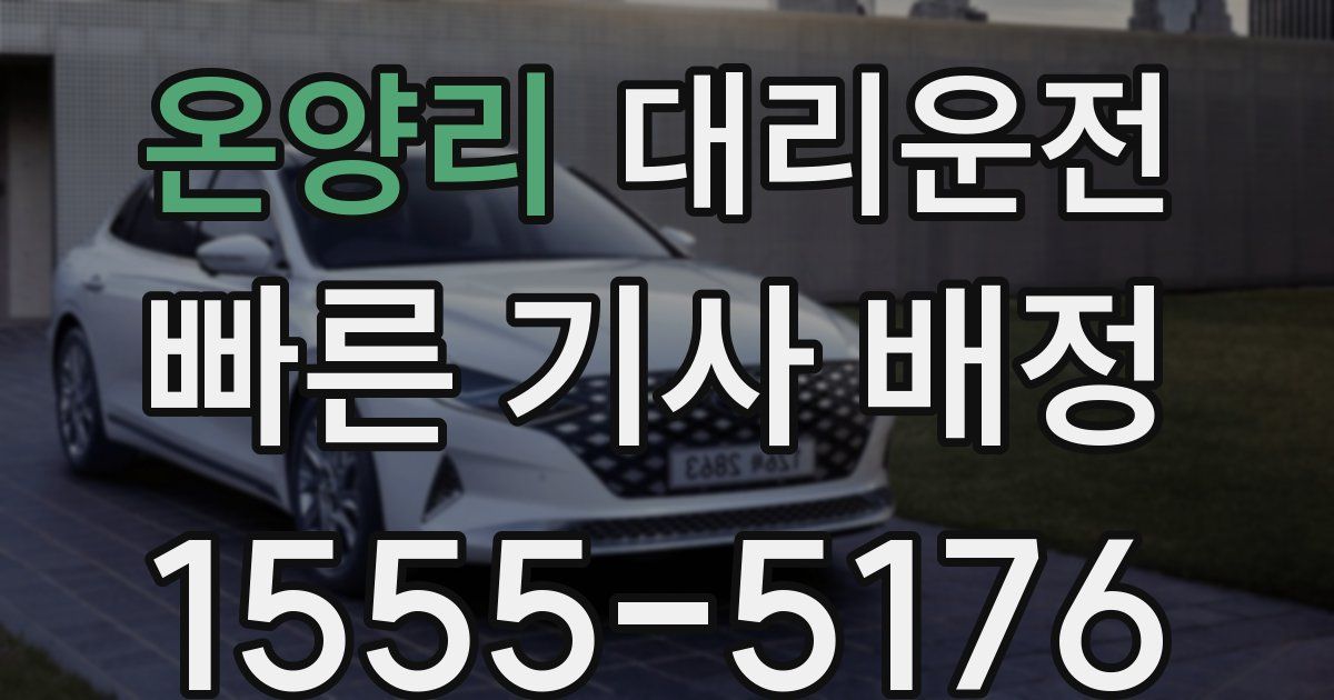 일일대리기사