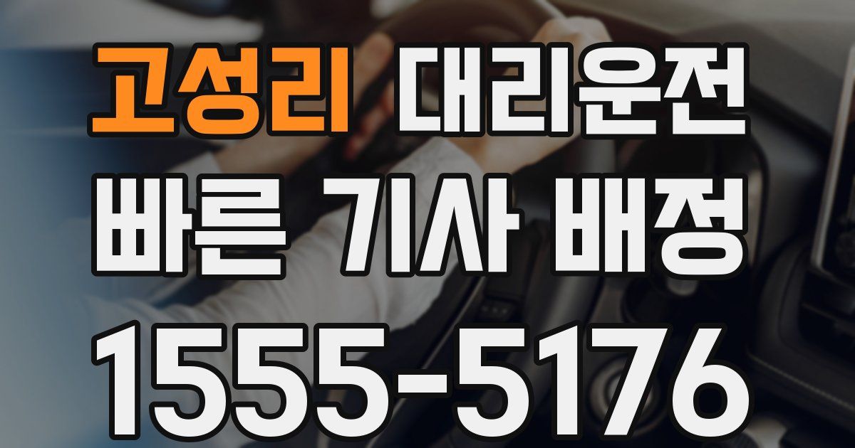 일일대리기사