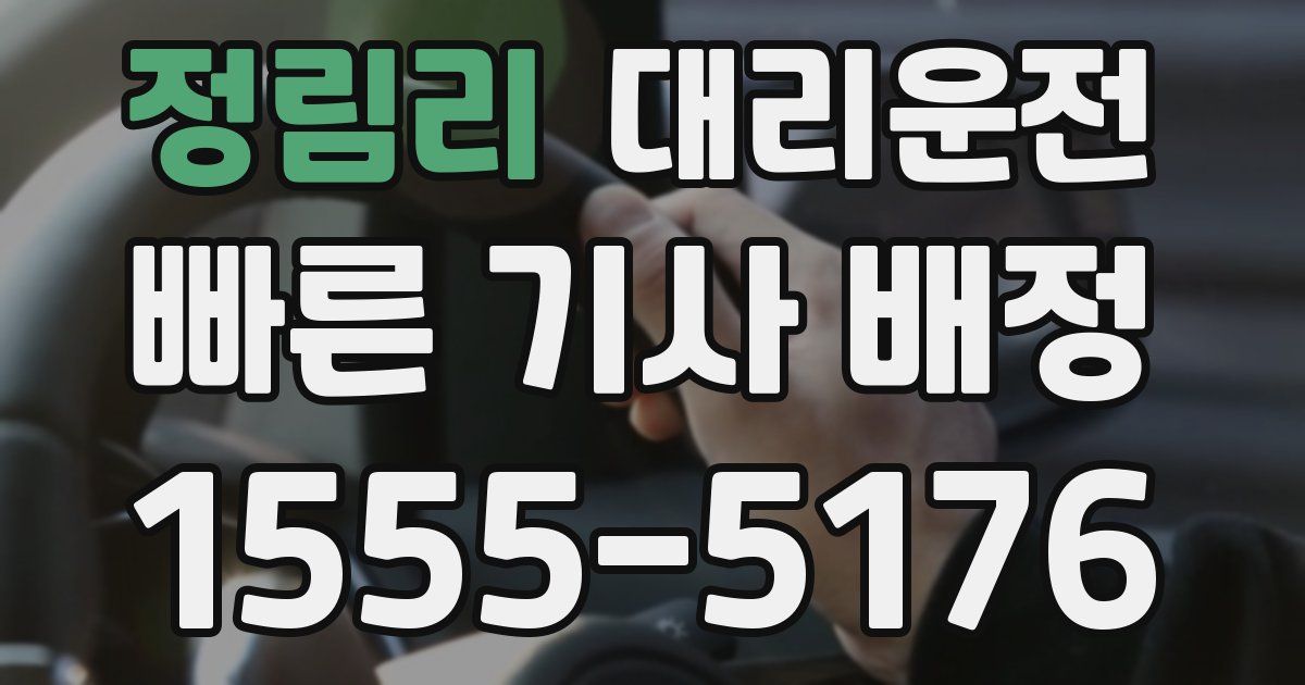 일일대리기사