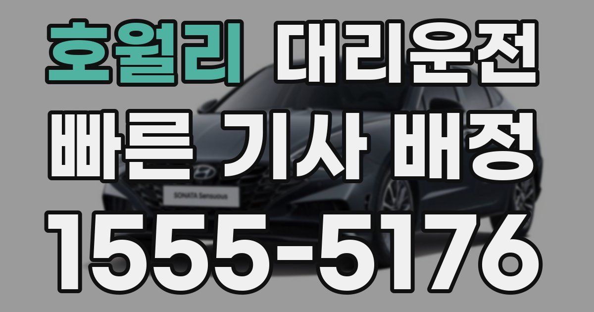 일일대리기사