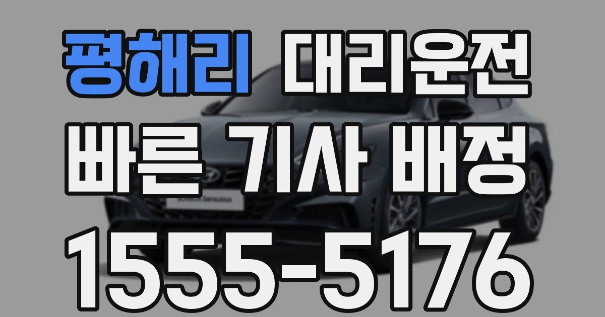 일일대리기사