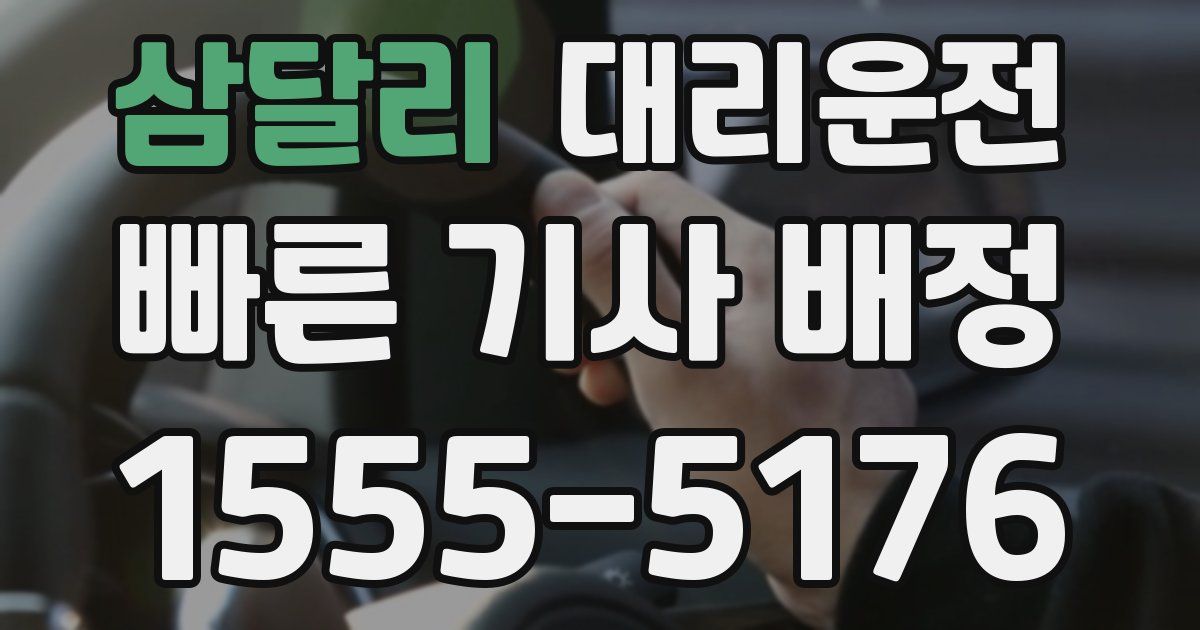 일일대리기사