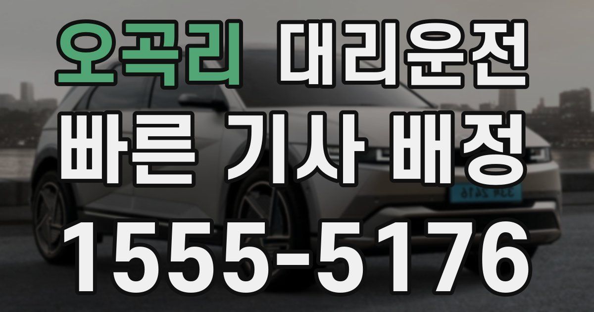 일일대리기사