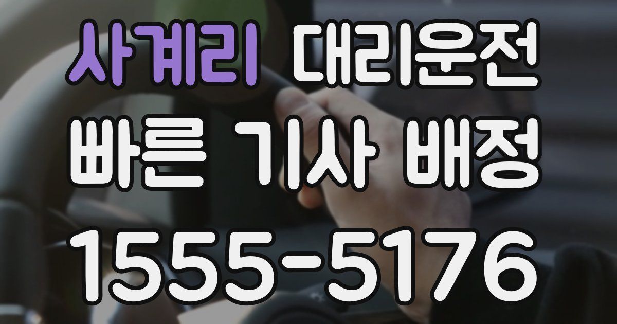 일일대리기사