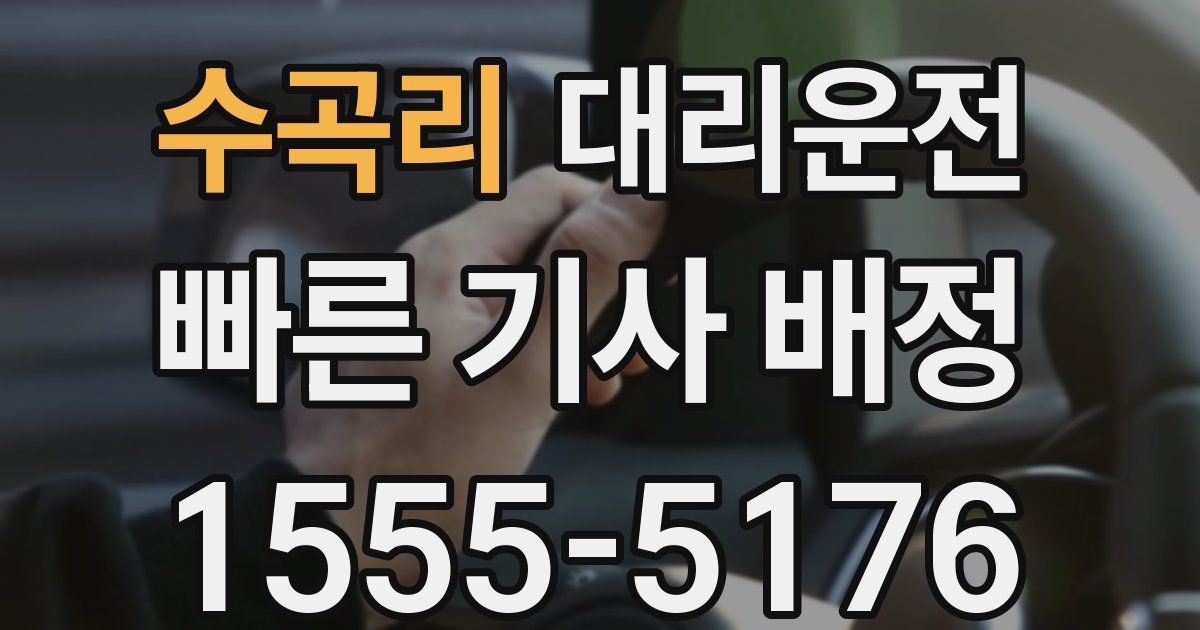 일일대리기사