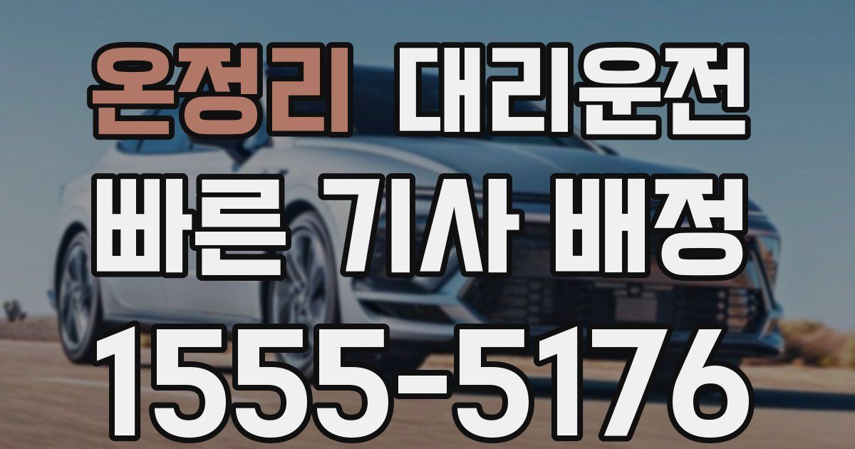 일일대리기사