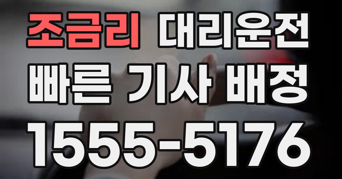일일대리기사