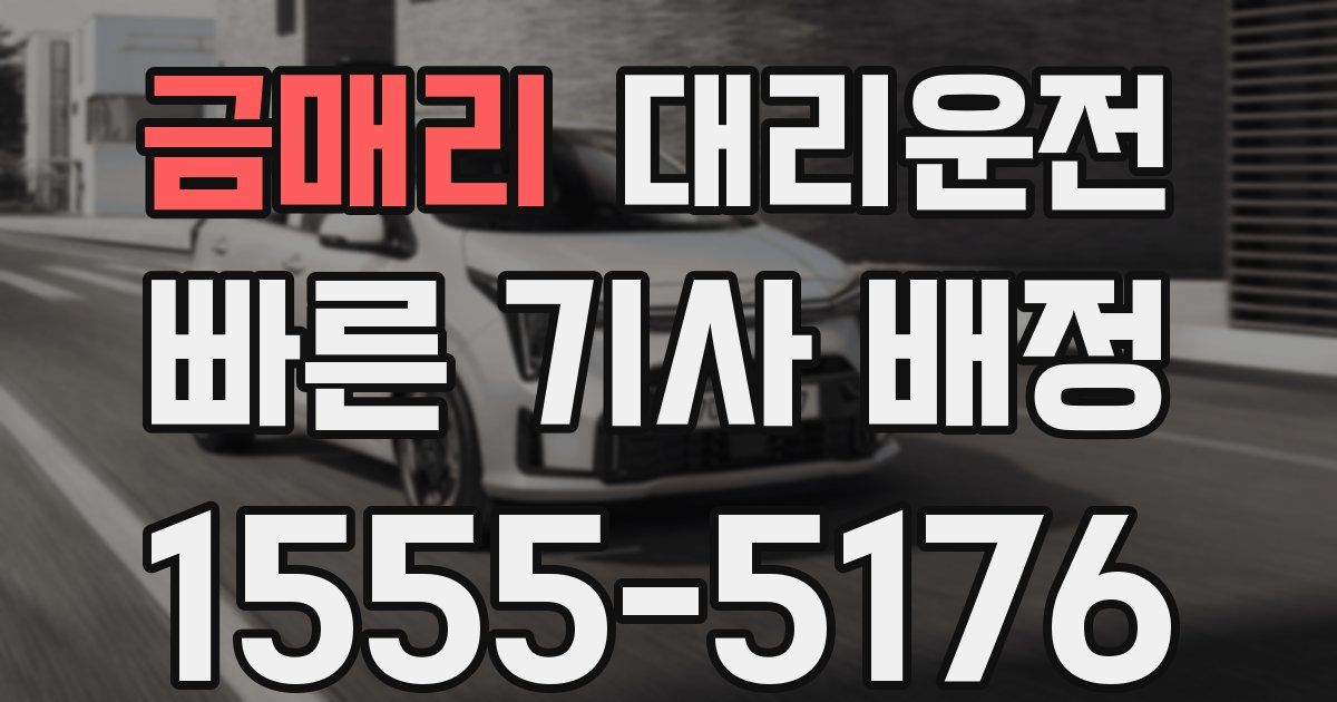 일일대리기사