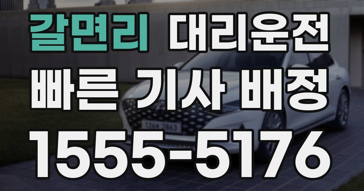 일일대리기사