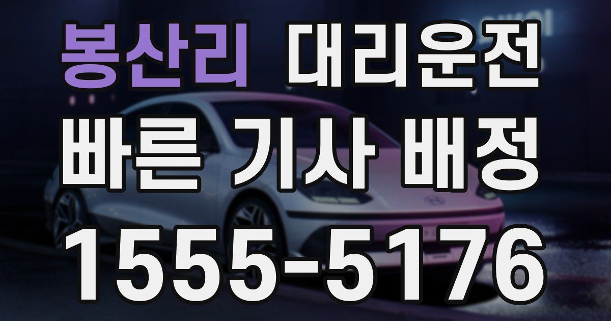 일일대리기사