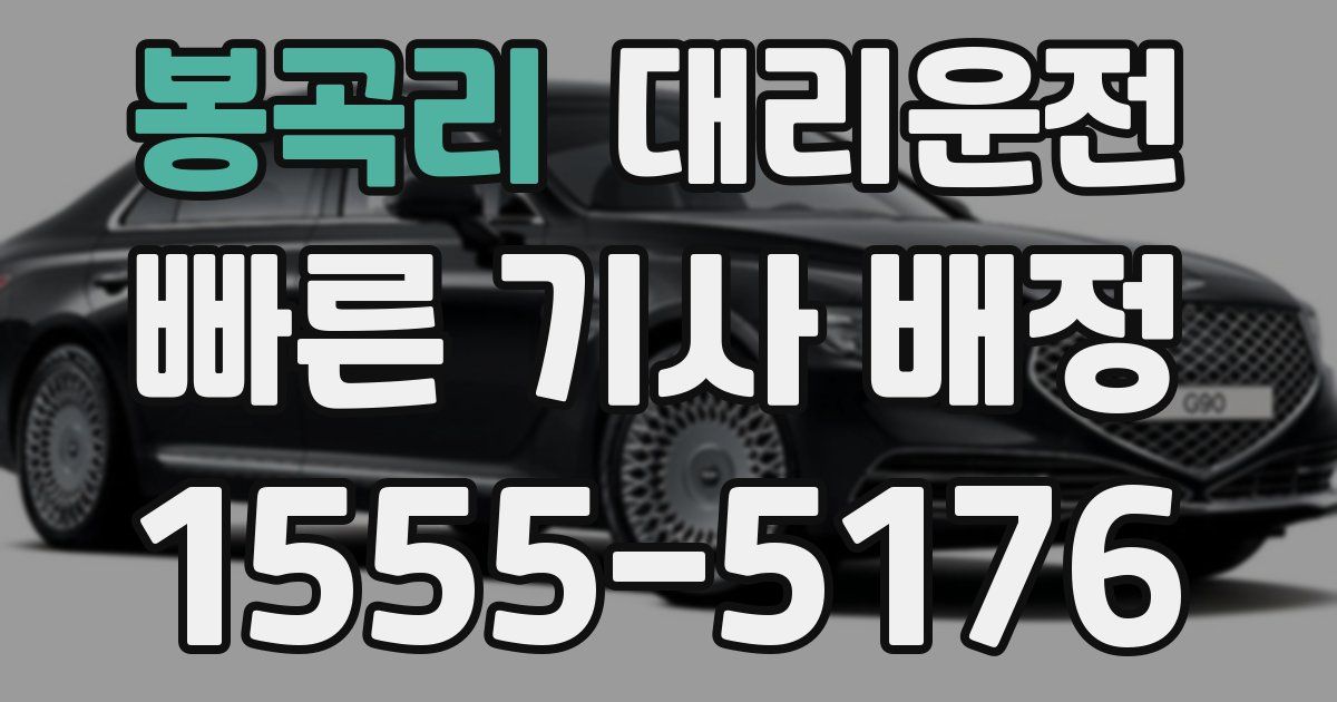 일일대리기사