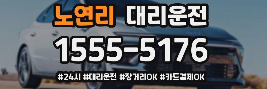 노연리 대리운전