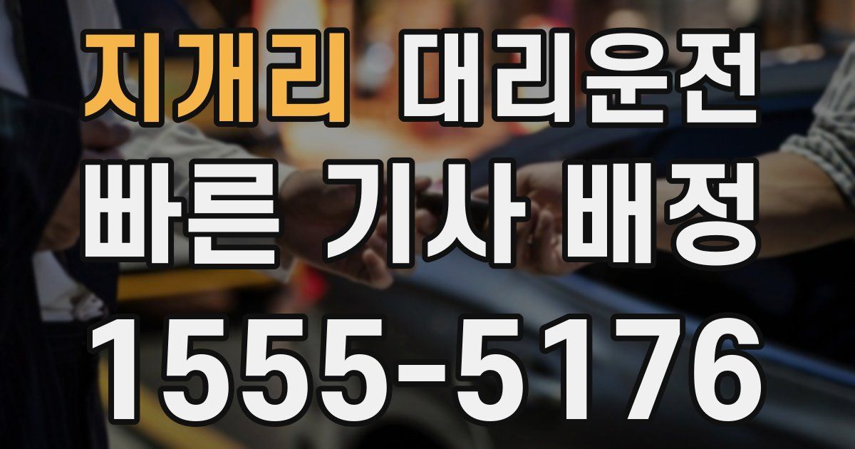 일일대리기사