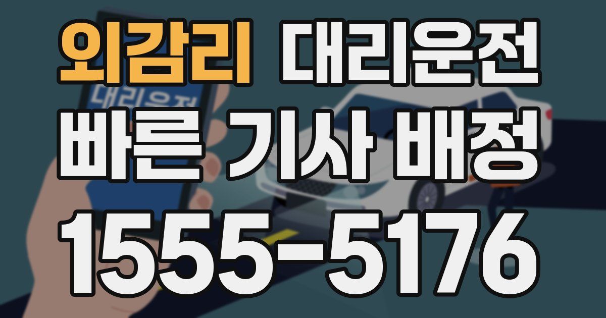 일일대리기사